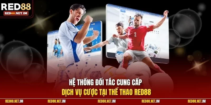 Hệ thống đối tác cung cấp dịch vụ cược tại thể thao RED88