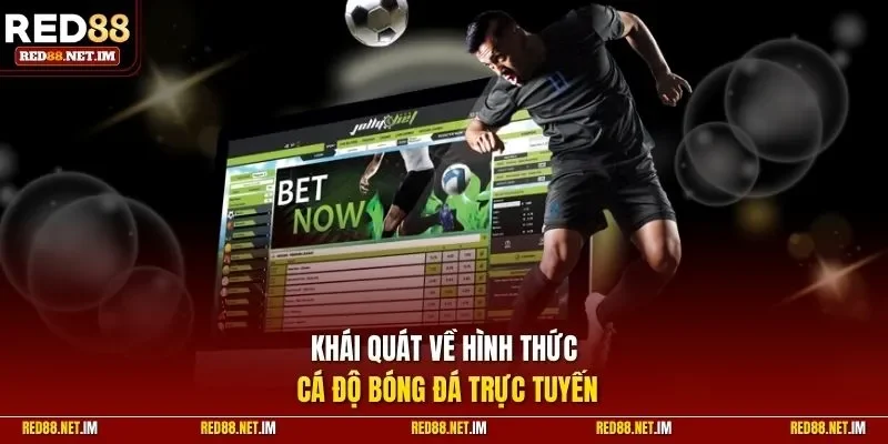 Khái quát về hình thức cá độ bóng đá trực tuyến