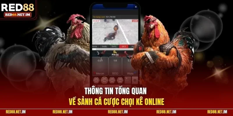 Thông tin tổng quan về sảnh cá cược chọi kê online